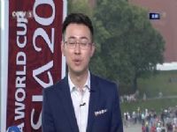 ��˹�����VS����ά��