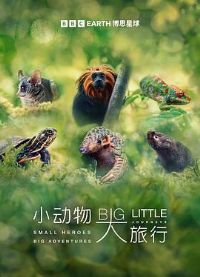 小动物大旅行第一季