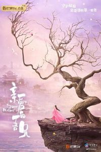 �װ�������